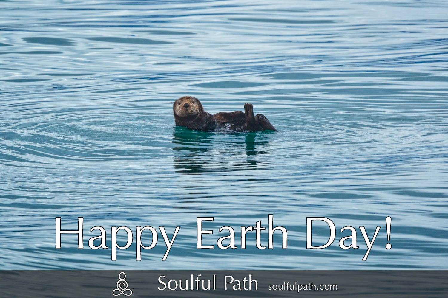 photo of otter floating on back with text Happy Earth Day